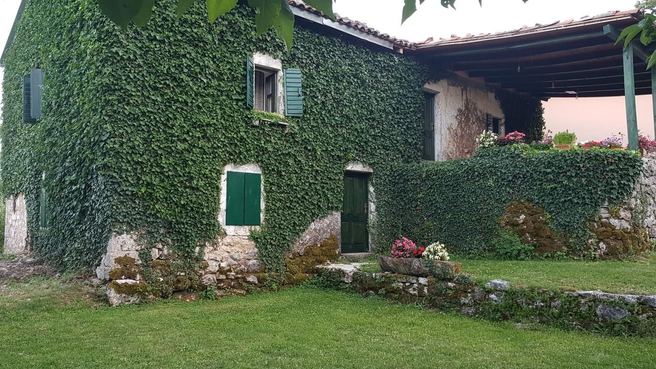 Мини-отель Old house Nilovic Livari-5
