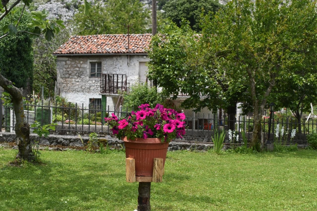 Мини-отель Old house Nilovic Livari-9
