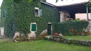 Мини-отель Old house Nilovic Livari-1