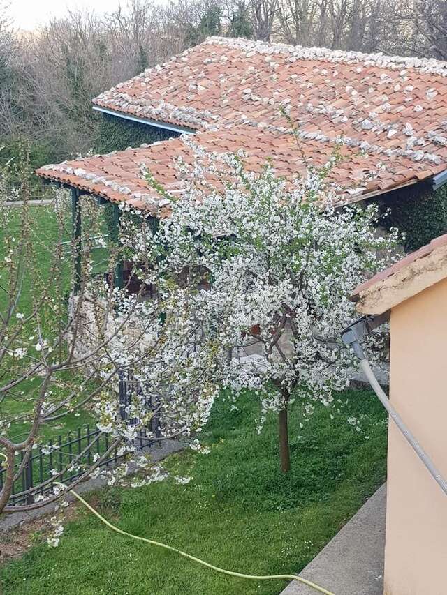 Мини-отель Old house Nilovic Livari-34