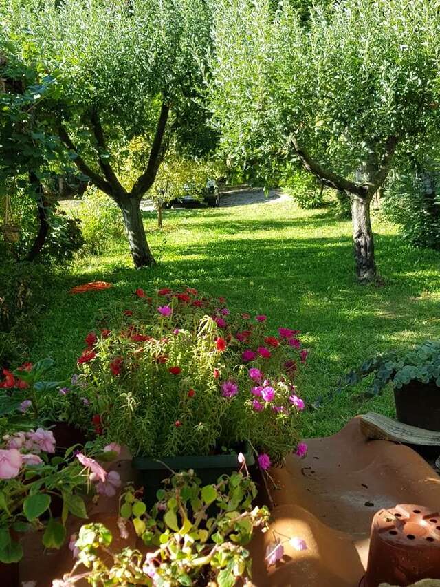 Мини-отель Old house Nilovic Livari-40