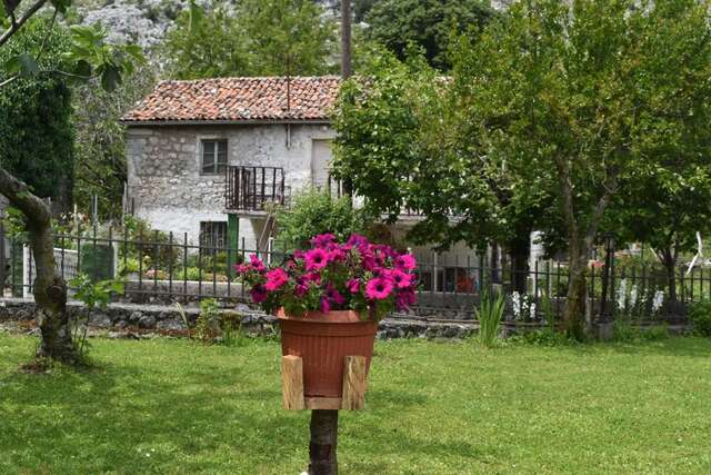 Мини-отель Old house Nilovic Livari-8